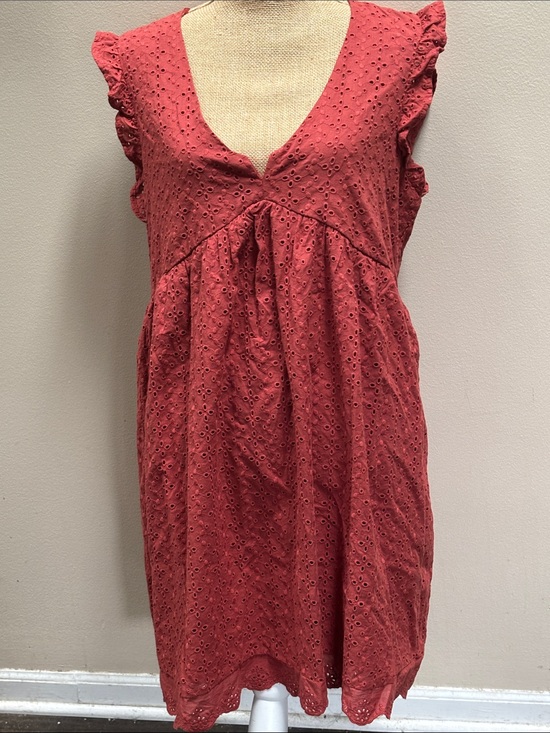 Knox Rose Dresses & Skirts - Rust Eyelet Ruffle Sleeve Babydoll Dress